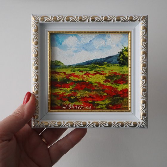 Red Poppy Field and Sky