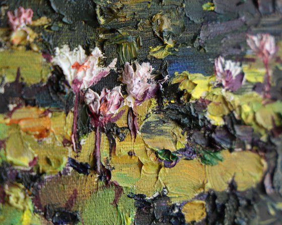 Blooming Water Lilies