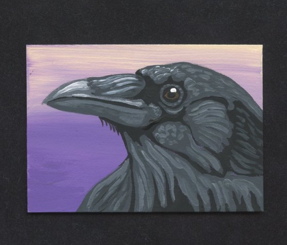 Crow Raven Bird