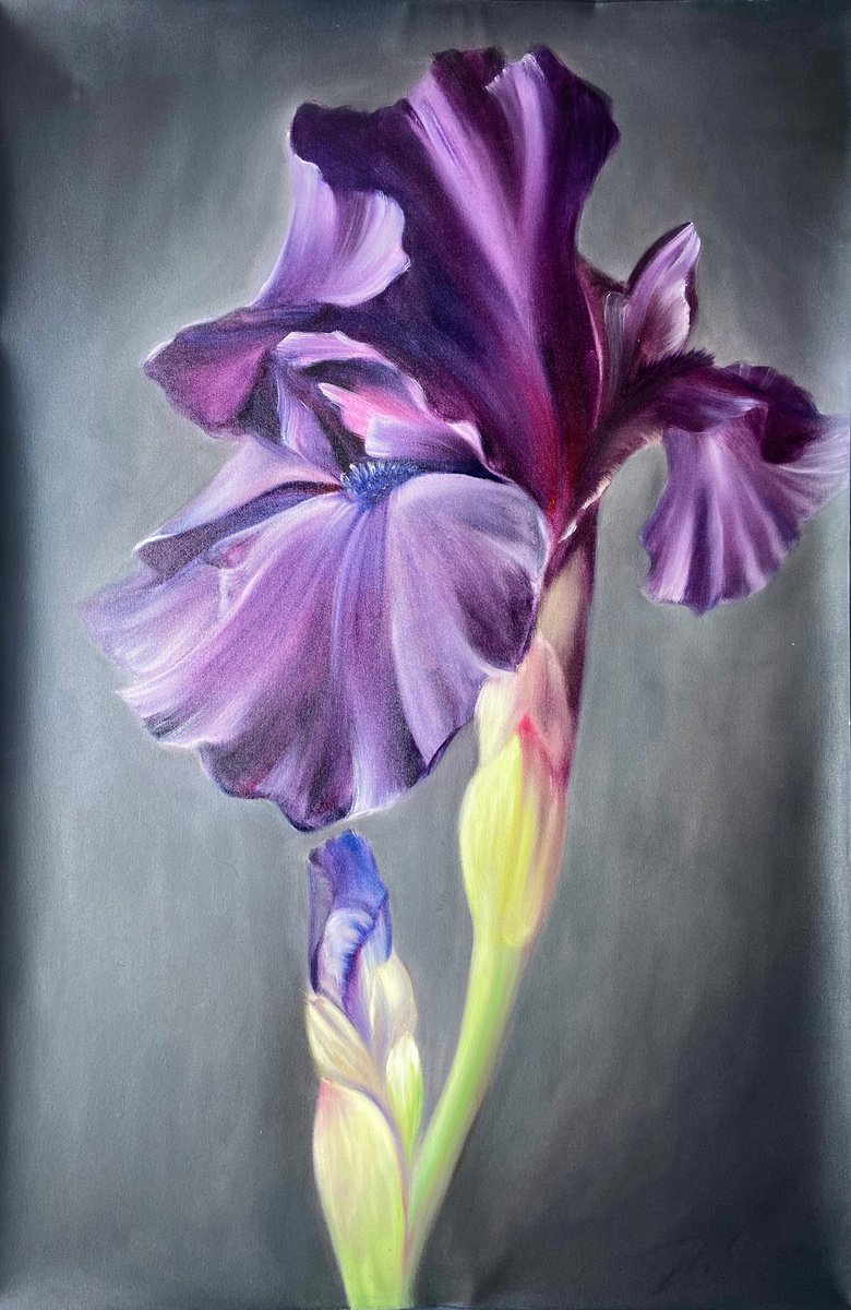 NOBLE IRIS 120/80cm by Alexandra Ozerova