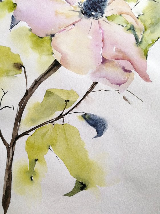 Magnolia painting. Blossoms painting