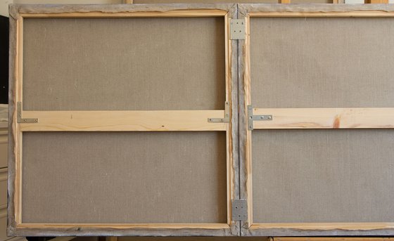 Pink Amaryllis Triptych