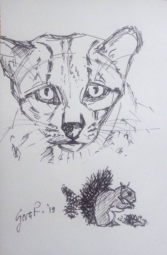 leopard and squirrel