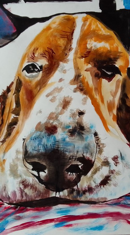 Bassethound by Soso Kumsiashvili