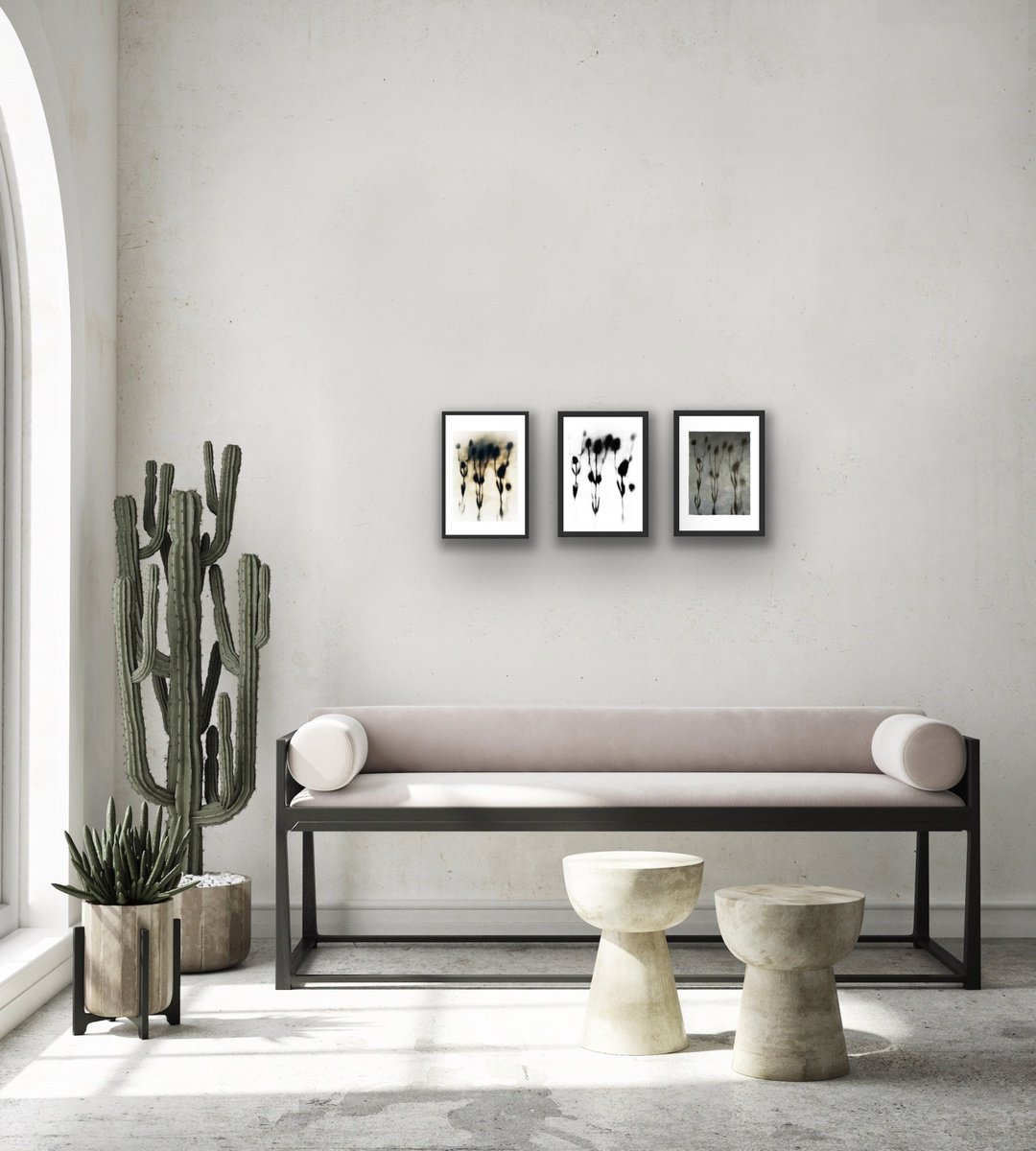 Expressive Botanical Photograph By Sarah Parsons, 8 X 8", Teasle Shadow Triptych, Original Artwork