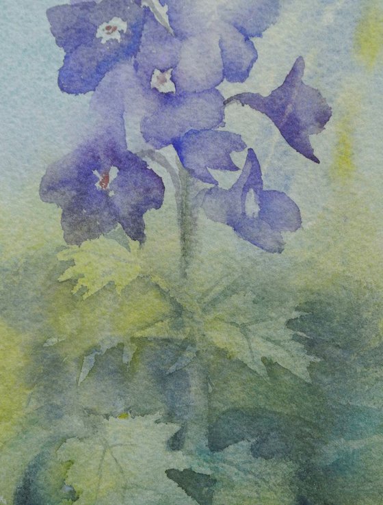 Blue Delphiniums - Original Watercolour