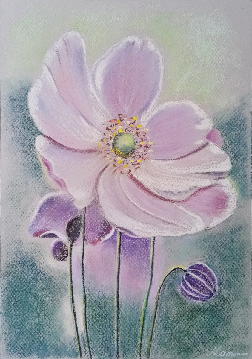 Amethyst anemone by Liubov Samoilova