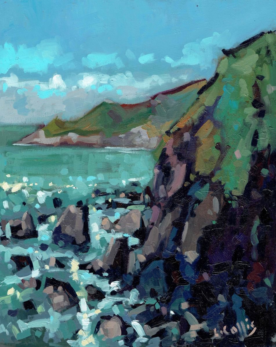 Combesgate and Morte Point, Woolacombe by Louise Collis
