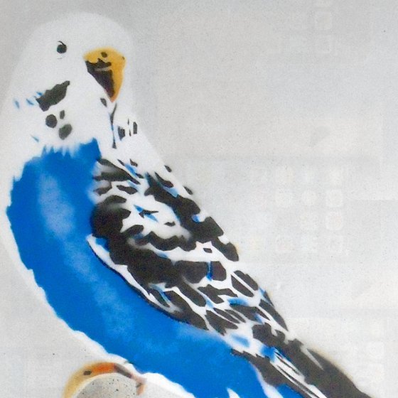 GRANDMA'S BUDGIE (UB).