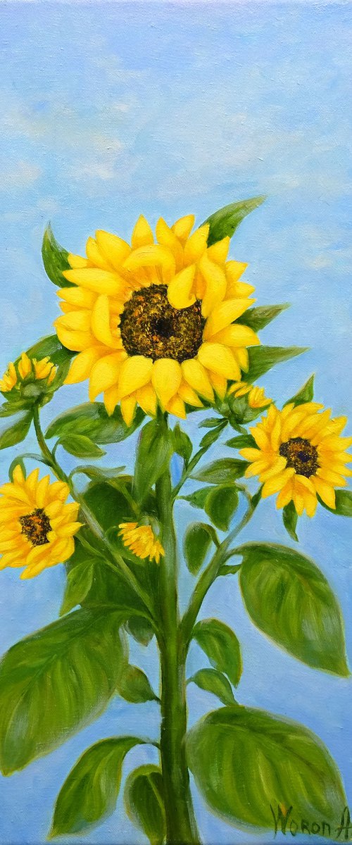 Sunflower. by Anastasia Woron