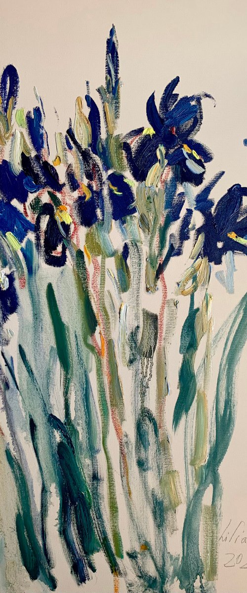 Irises. by Lilia Orlova-Holmes