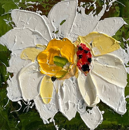 Daisy Ladybug Original Oil Painting by Halyna Kirichenko