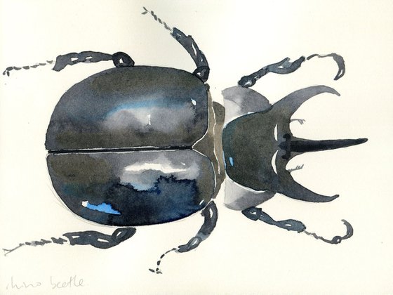 Watercolour Rhino Beetle