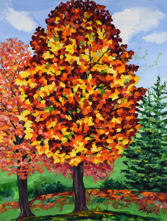 Tall Maple in Red & Gold