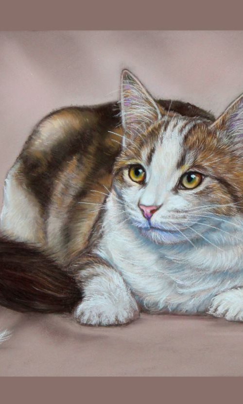 Calico cat by Tatjana Bril