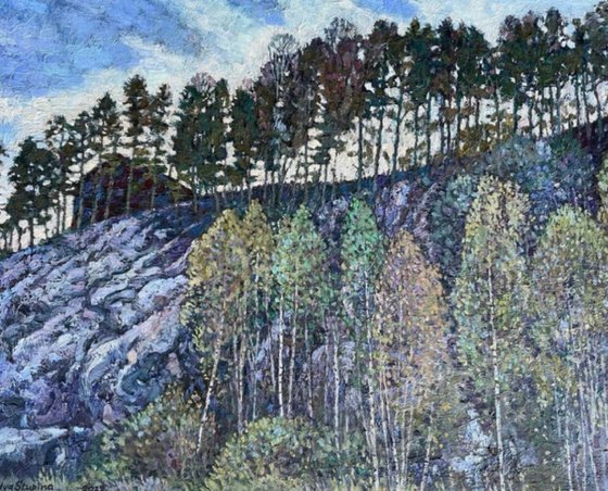 Trees grow on the stones too