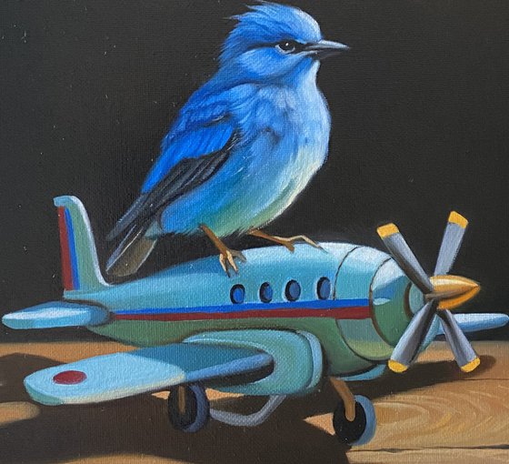 Flight of Dreams