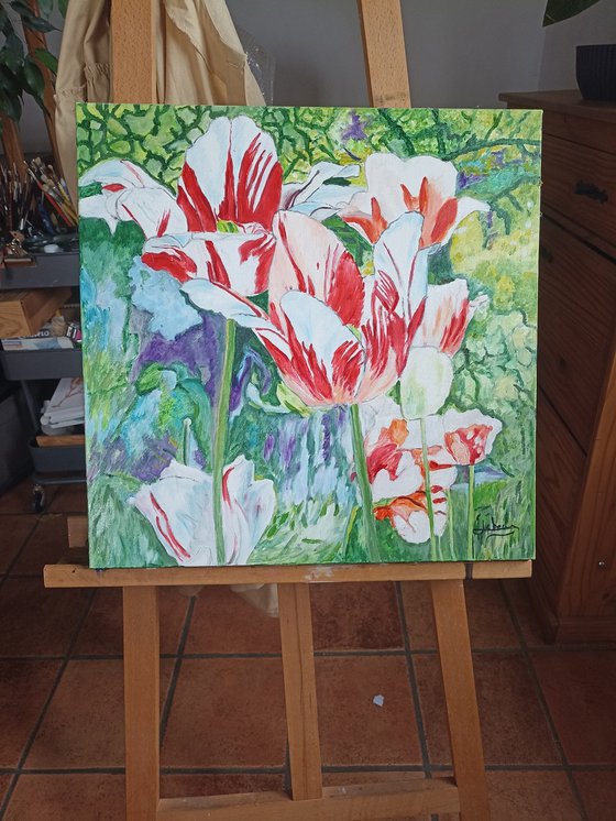 Tulips flowers