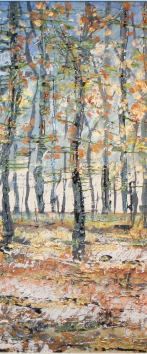 Micheldever Woods in Winter I by Paul J Best