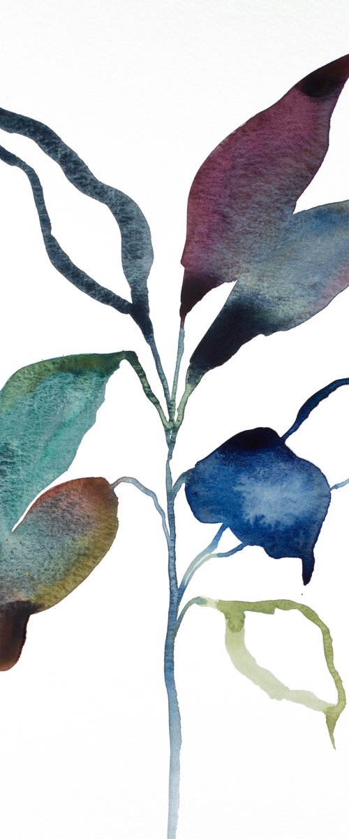 Plant Study No. 87 by Elizabeth Becker