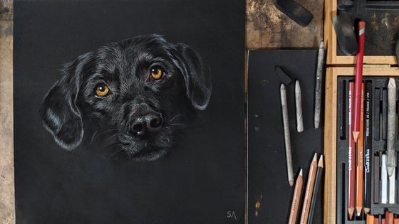 "Patiently Waiting"     Black Labrador portrait (Original Painting)