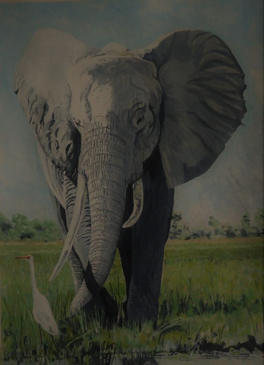 Trunk Call by Philip Baker