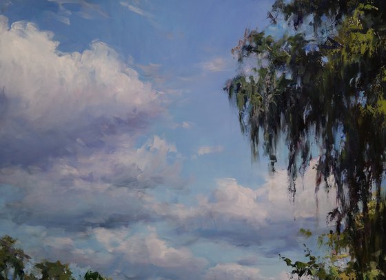 "Emerald Shores"