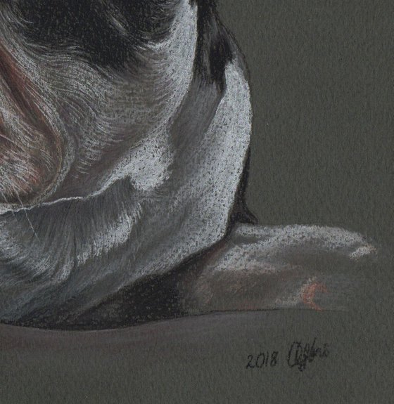 Colorful pastel portrait of french bulldog