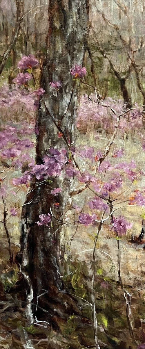 SPRING IN THE FOREST by Elena Mashajeva-Agraphiotis