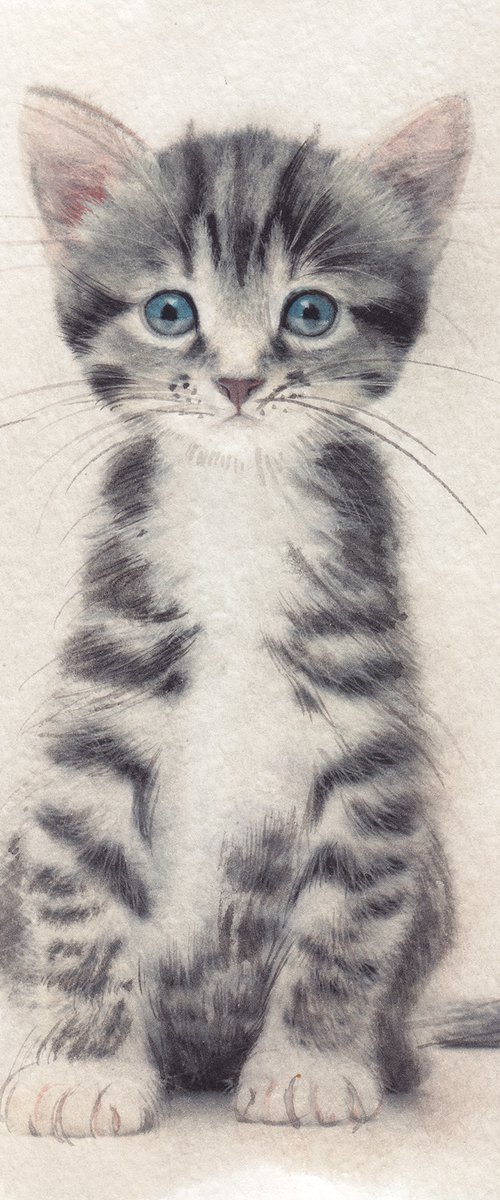 Kitten XI by REME Jr.