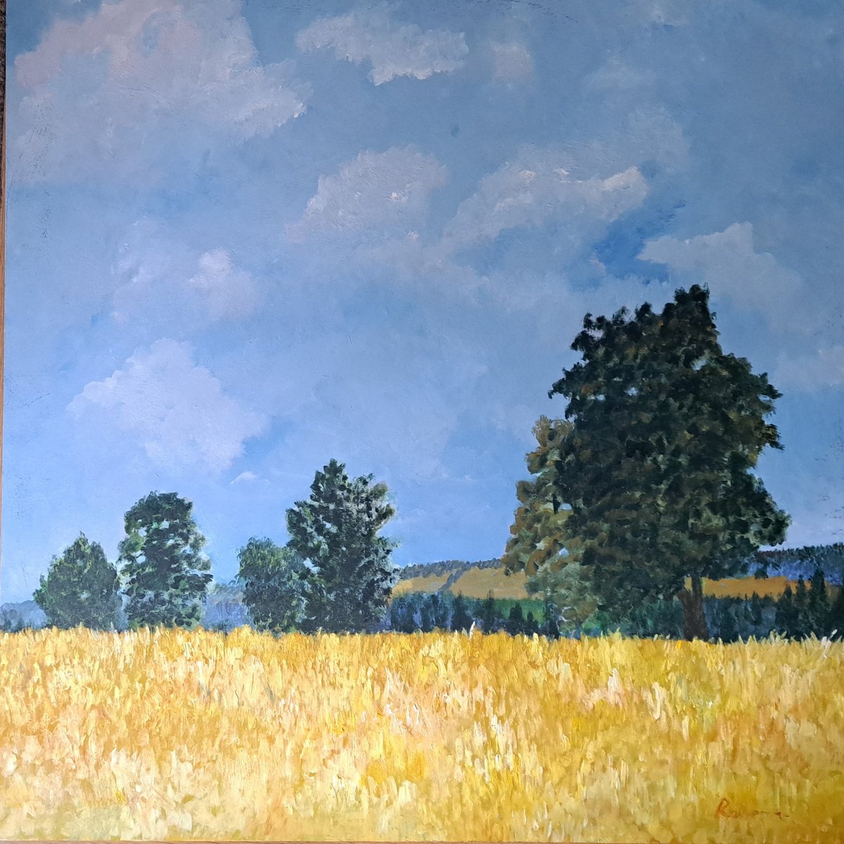 Impressionistic Landscape Oil Painting By Rosalind Roberts, 31 X 31", The Cornfield, Original Artwork