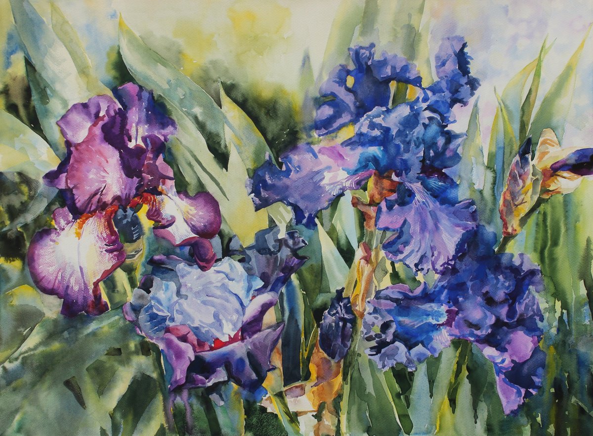 Impressionistic Watercolour , Irises In The Garden #2 By Yurii Pashkov, 30 X 22, Artwork For Sale On Artfinder