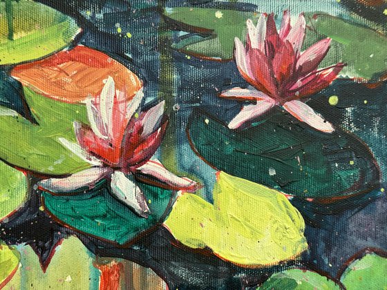 Lily Pond