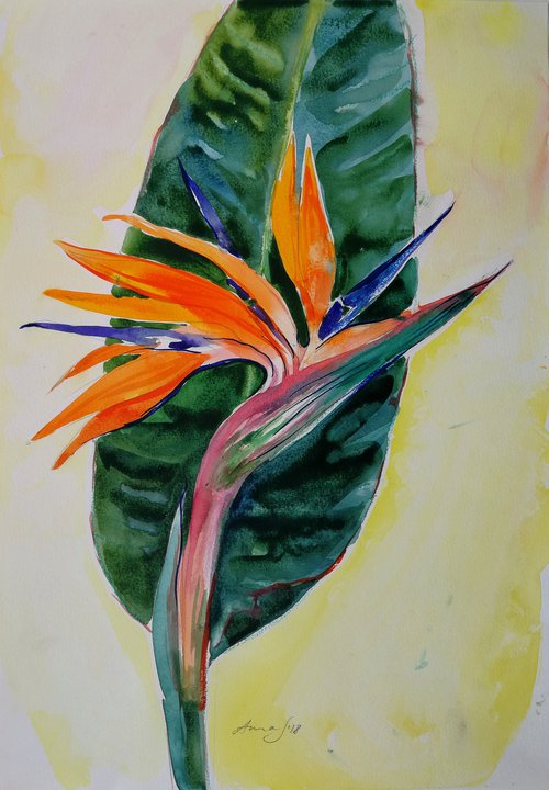 "Strelitzia Plant'' by Anna Silabrama