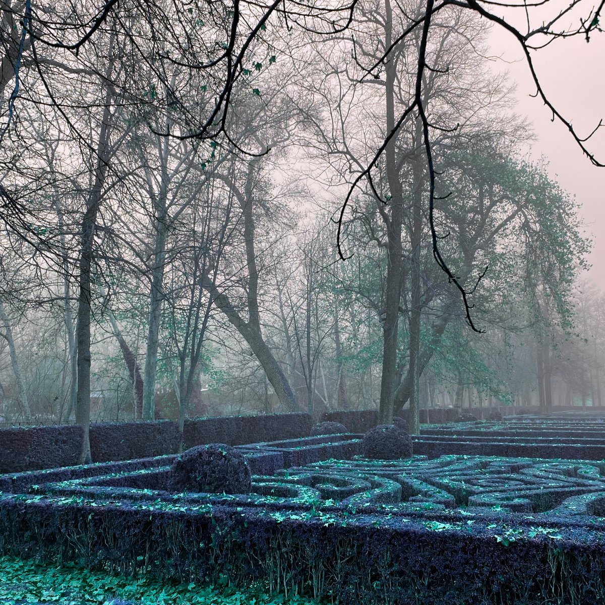 Landscape Photograph By Tatiana Zappa, 24 X 24", Aranjuez 3, Original Artwork