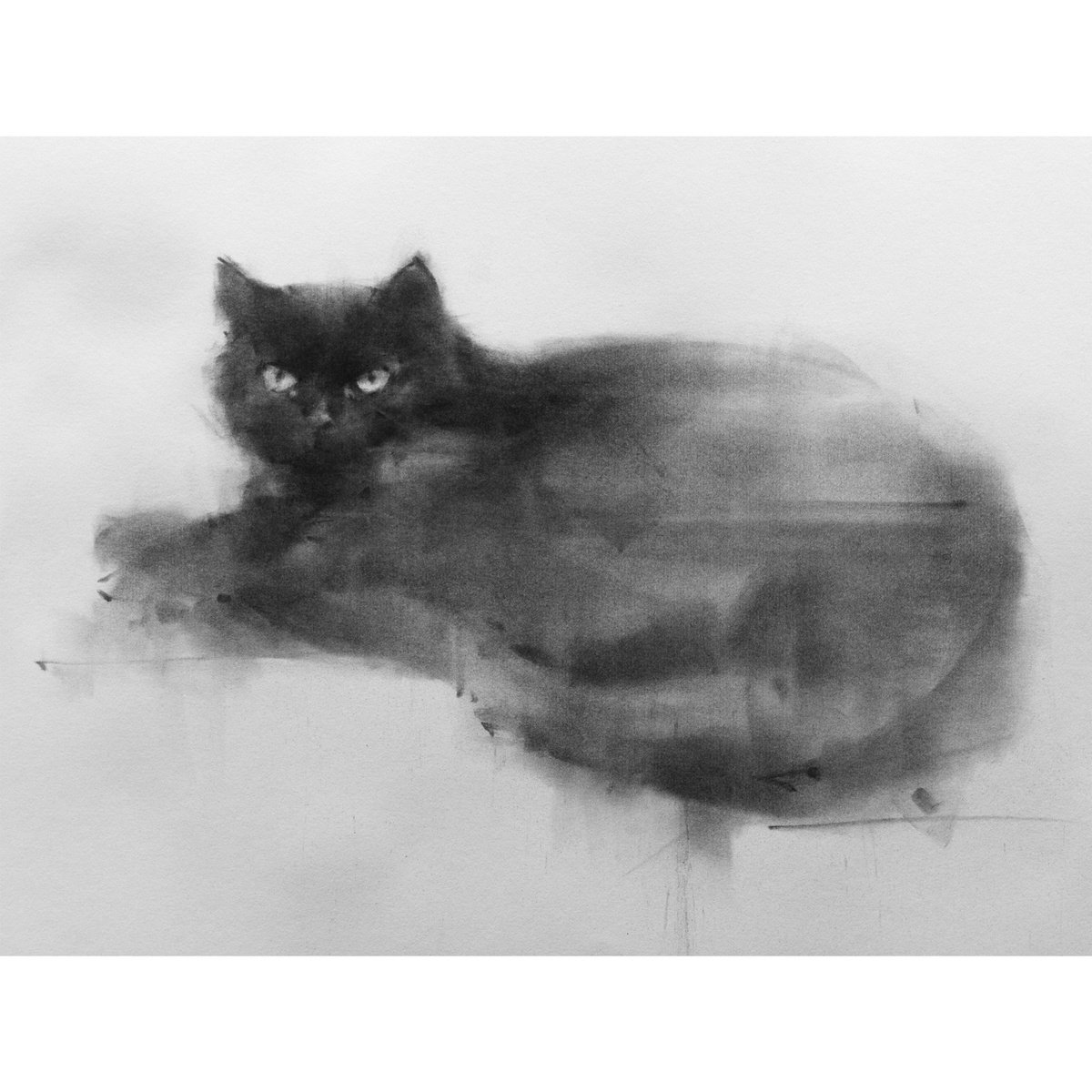 cat No. 1 by Tianyin Wang