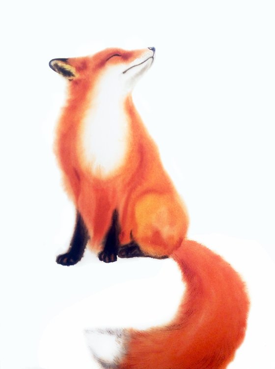 Red Fox - foxy - fox portrait - fox watercolor - fox looks upwards