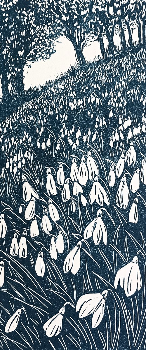 Snowdrop Wood by Jo Biggadike