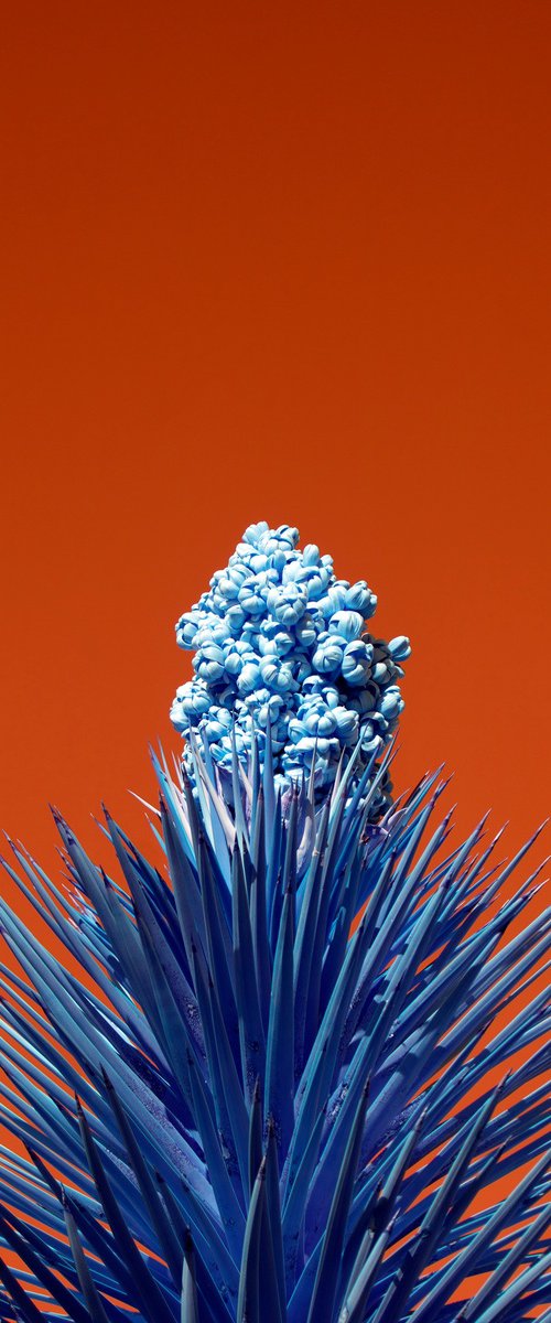 Nothing Here is Meant to Last by Mark Hannah