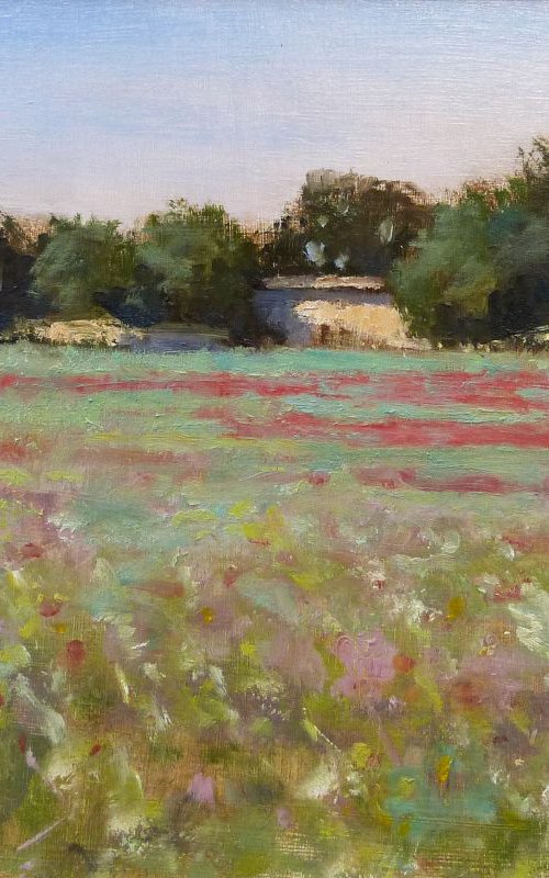 Poppy Field by Pascal Giroud