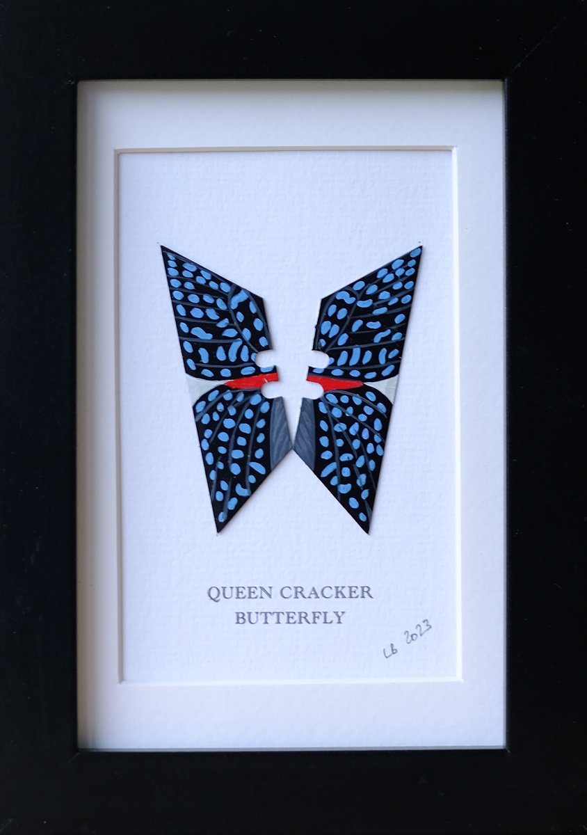 Queen Cracker butterfly by Lene Bladbjerg