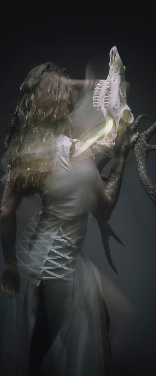 The Soul III by Cédric Brion