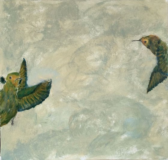 Study of hummingbird V b