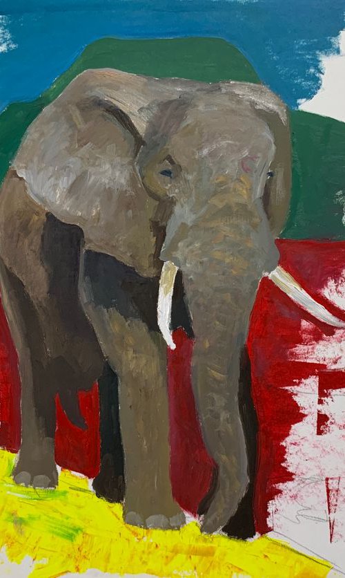 Elephant Study oil on paper... by Ryan  Louder