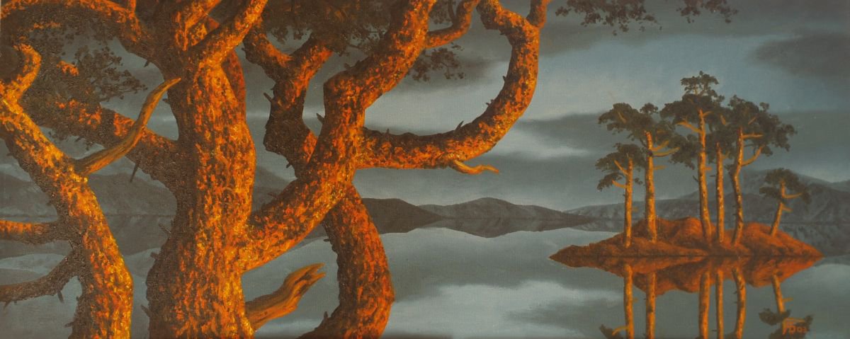 Evening glow on Scots pine by Anthony Al Gulaidi