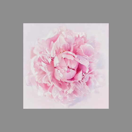 Peony Portrait
