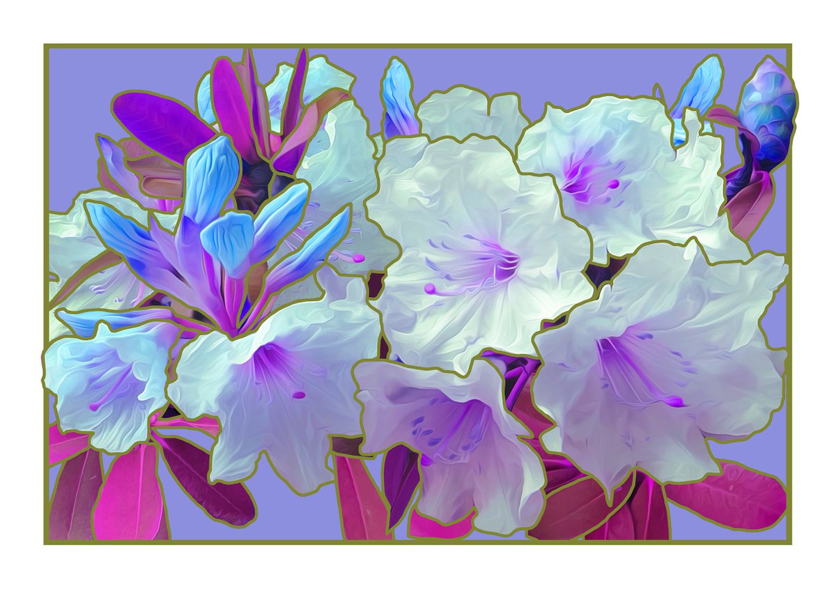 Violet Rhododendrons by Rod Vass