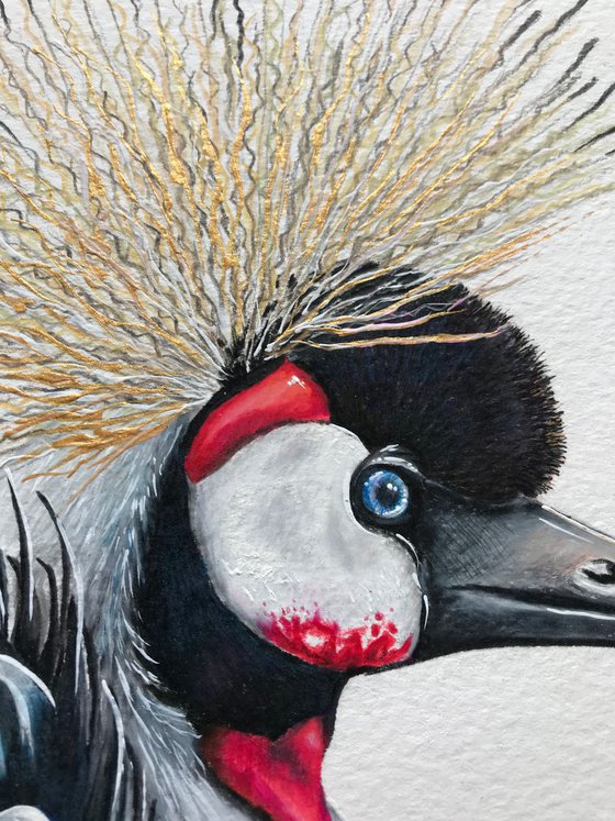 Crested Crane