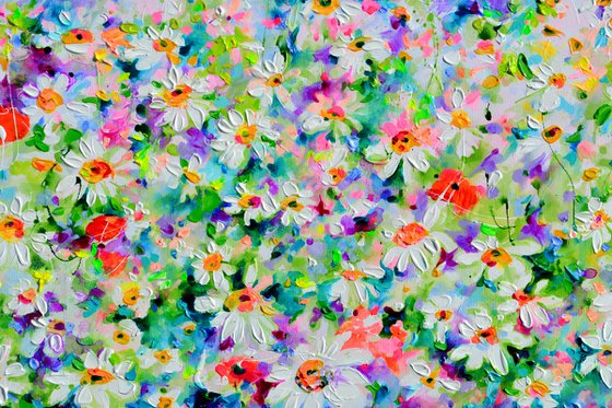 White Daisy and Red Poppy Field