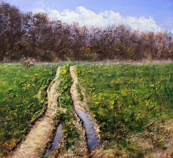 Rural road after spring rain